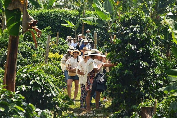 Coffee Tour 2